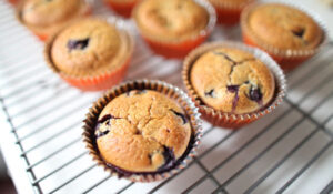muffin